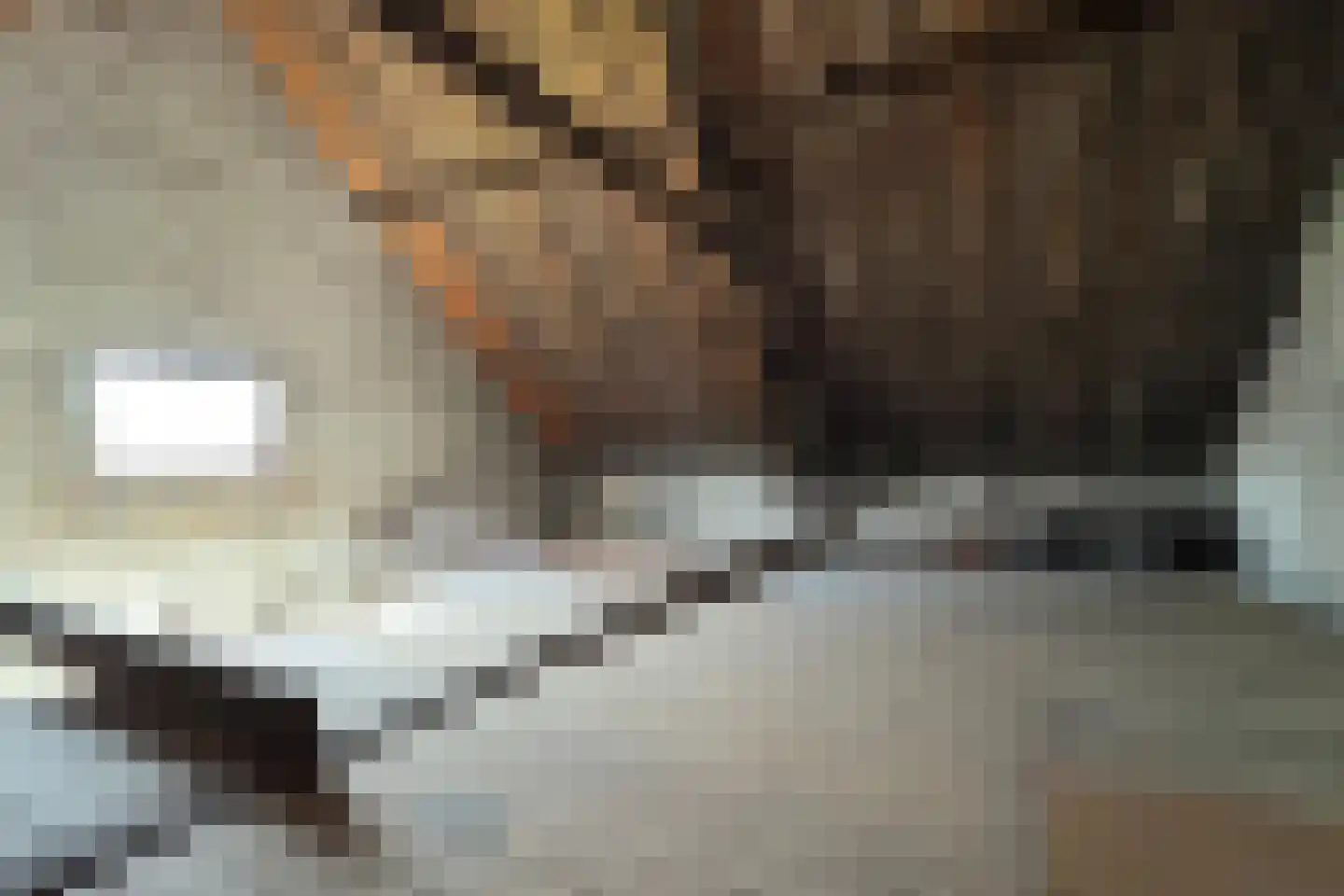 Oude Heijningsedijk 16 Heijningen thumbnail 14