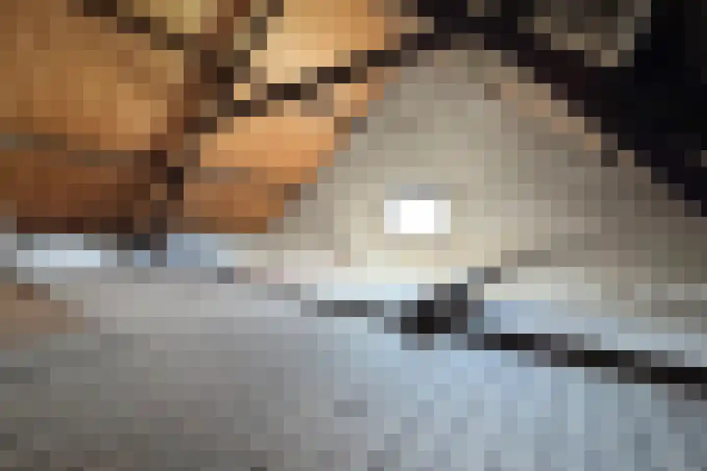 Oude Heijningsedijk 16 Heijningen thumbnail 15