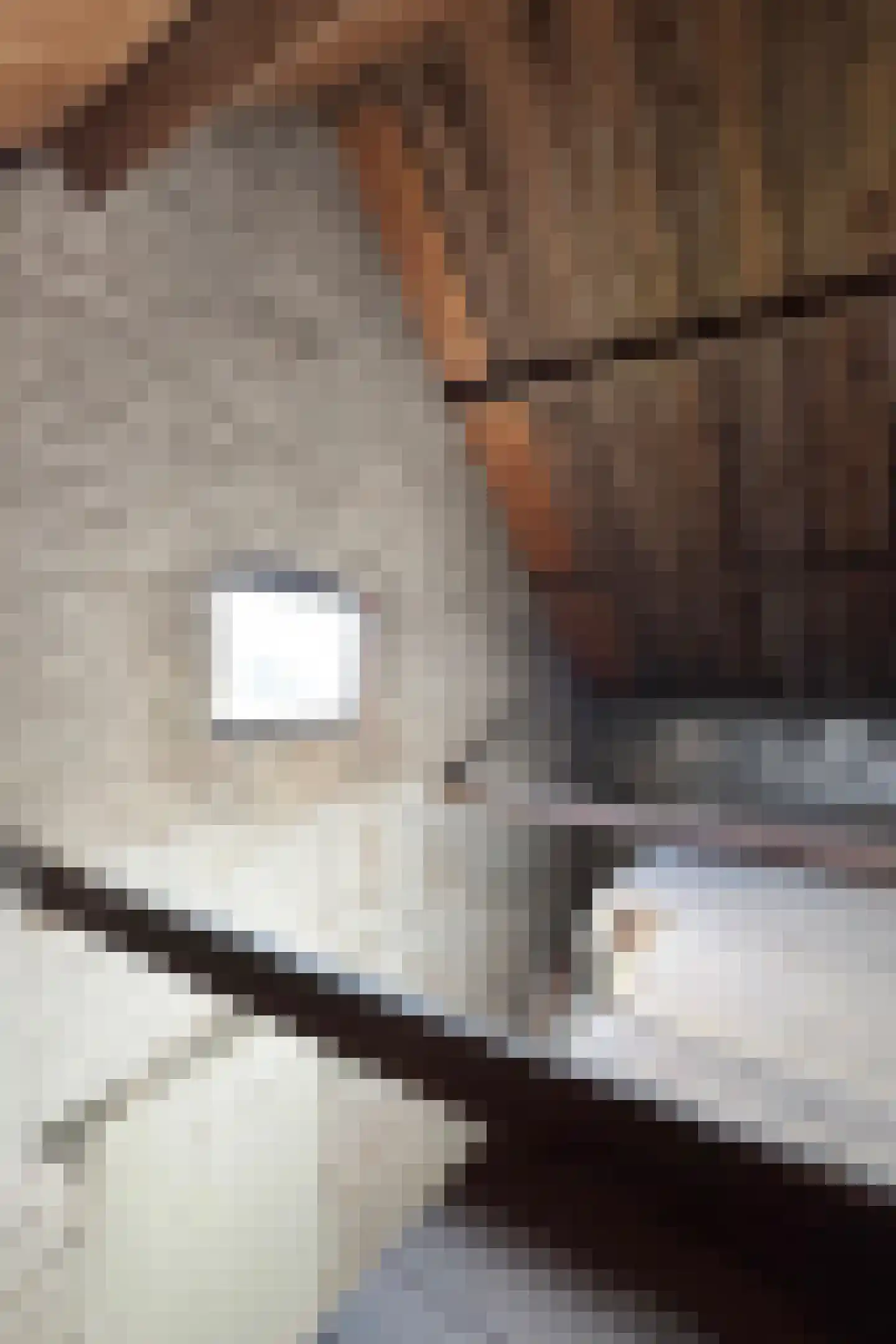 Oude Heijningsedijk 16 Heijningen thumbnail 17