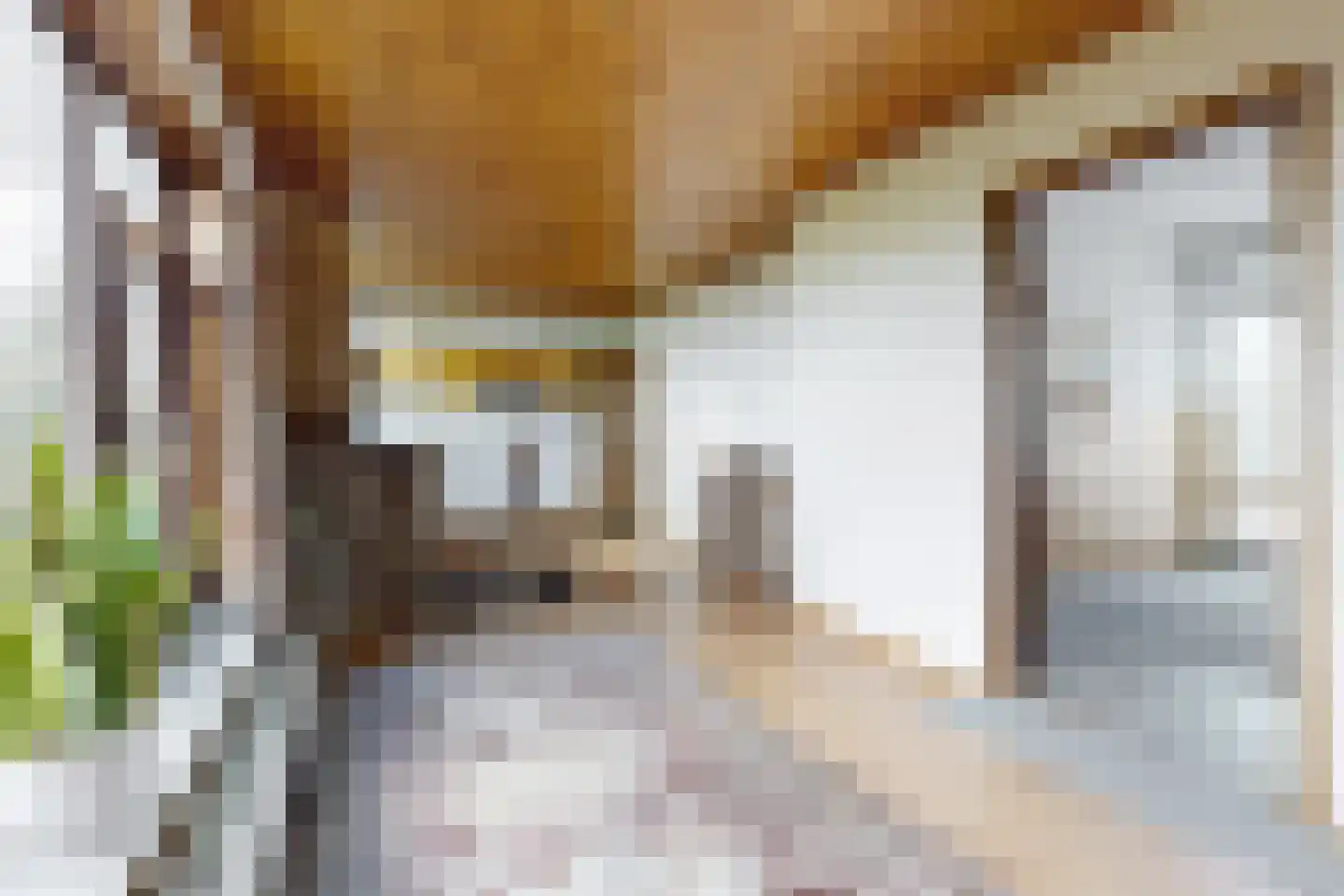 Oude Heijningsedijk 16 Heijningen thumbnail 18
