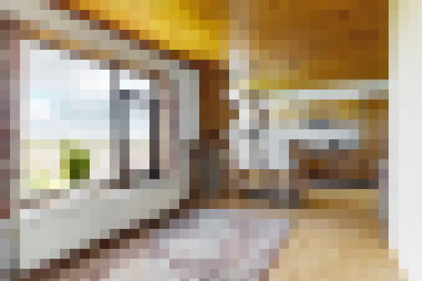 Oude Heijningsedijk 16 Heijningen thumbnail 19