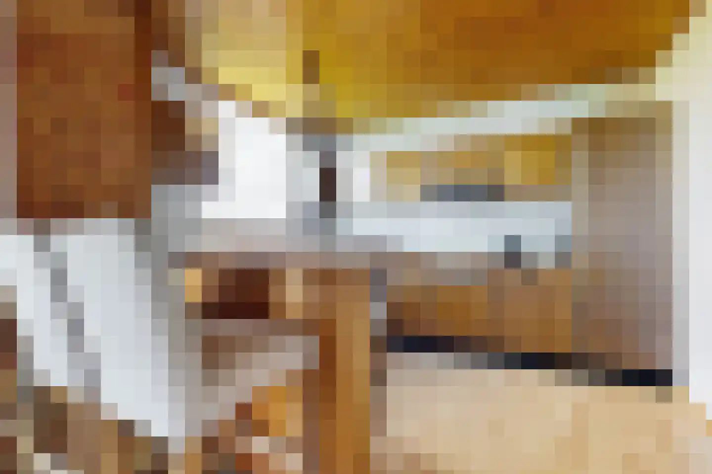 Oude Heijningsedijk 16 Heijningen thumbnail 21