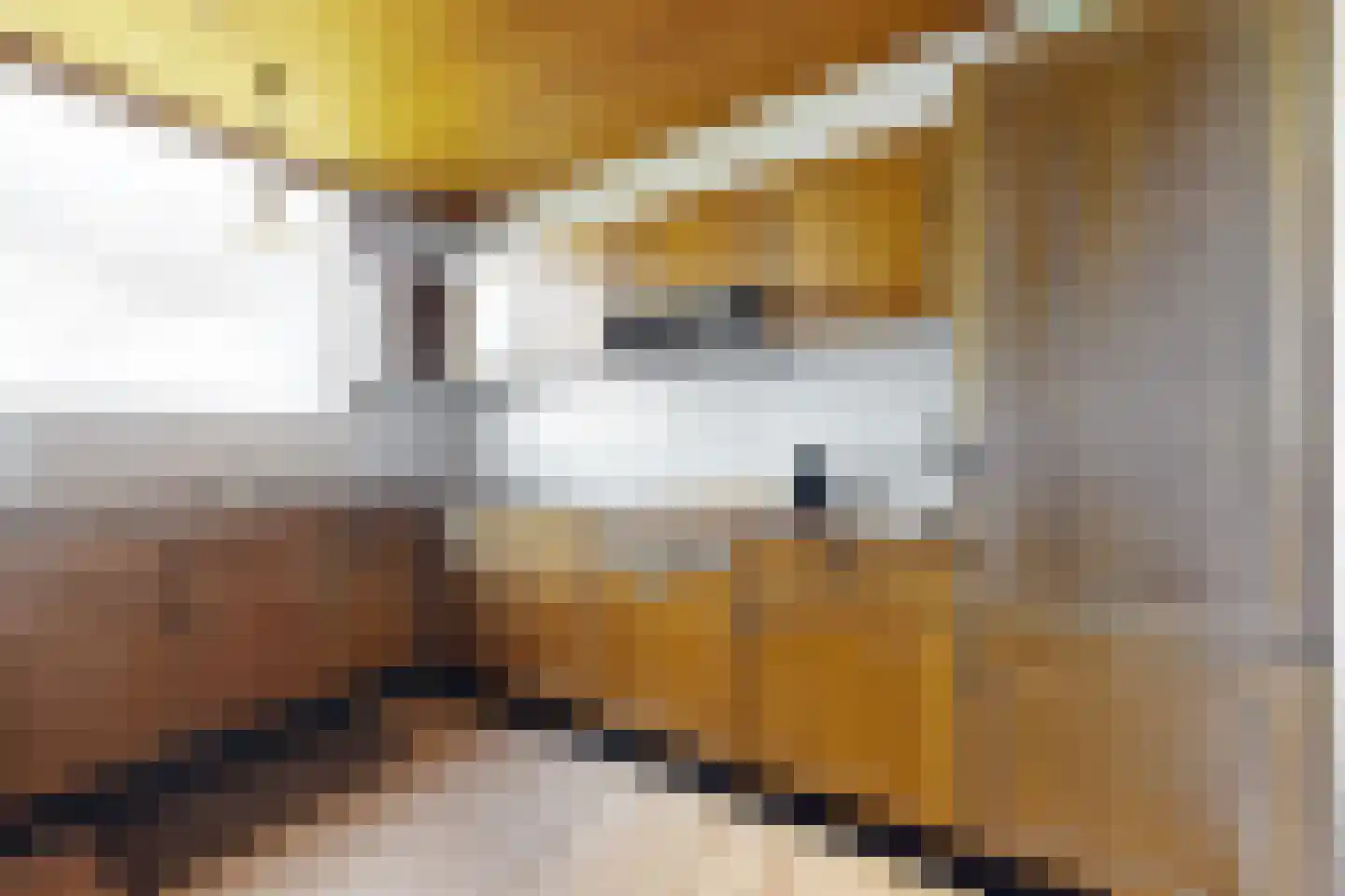 Oude Heijningsedijk 16 Heijningen thumbnail 22