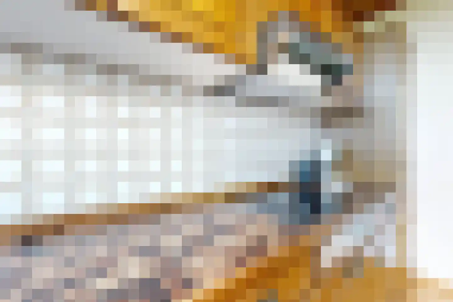 Oude Heijningsedijk 16 Heijningen thumbnail 24