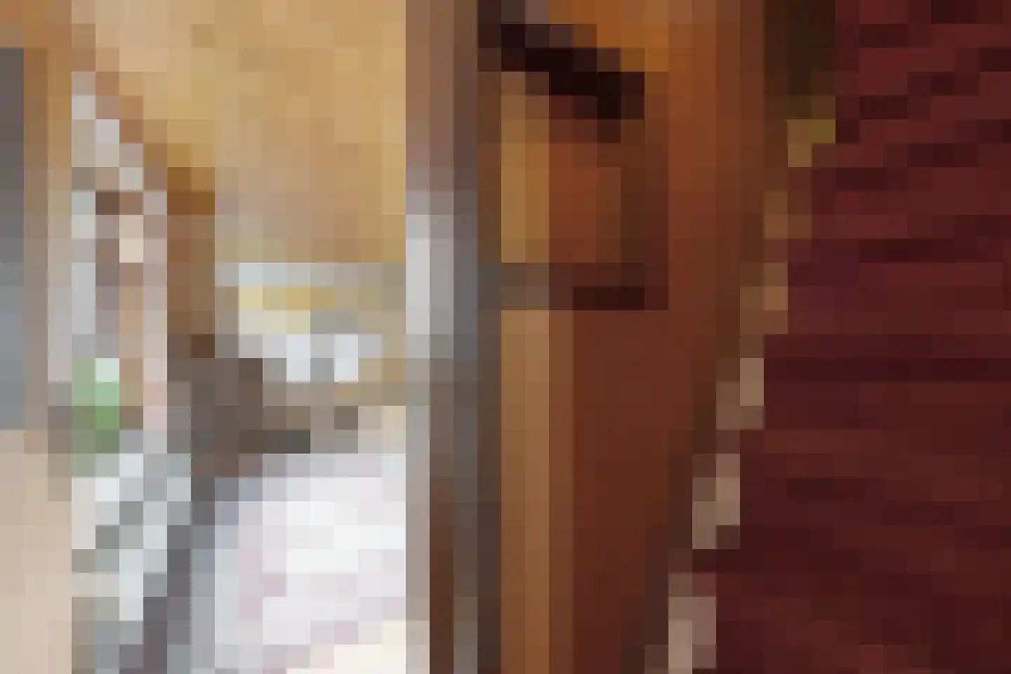 Oude Heijningsedijk 16 Heijningen thumbnail 26