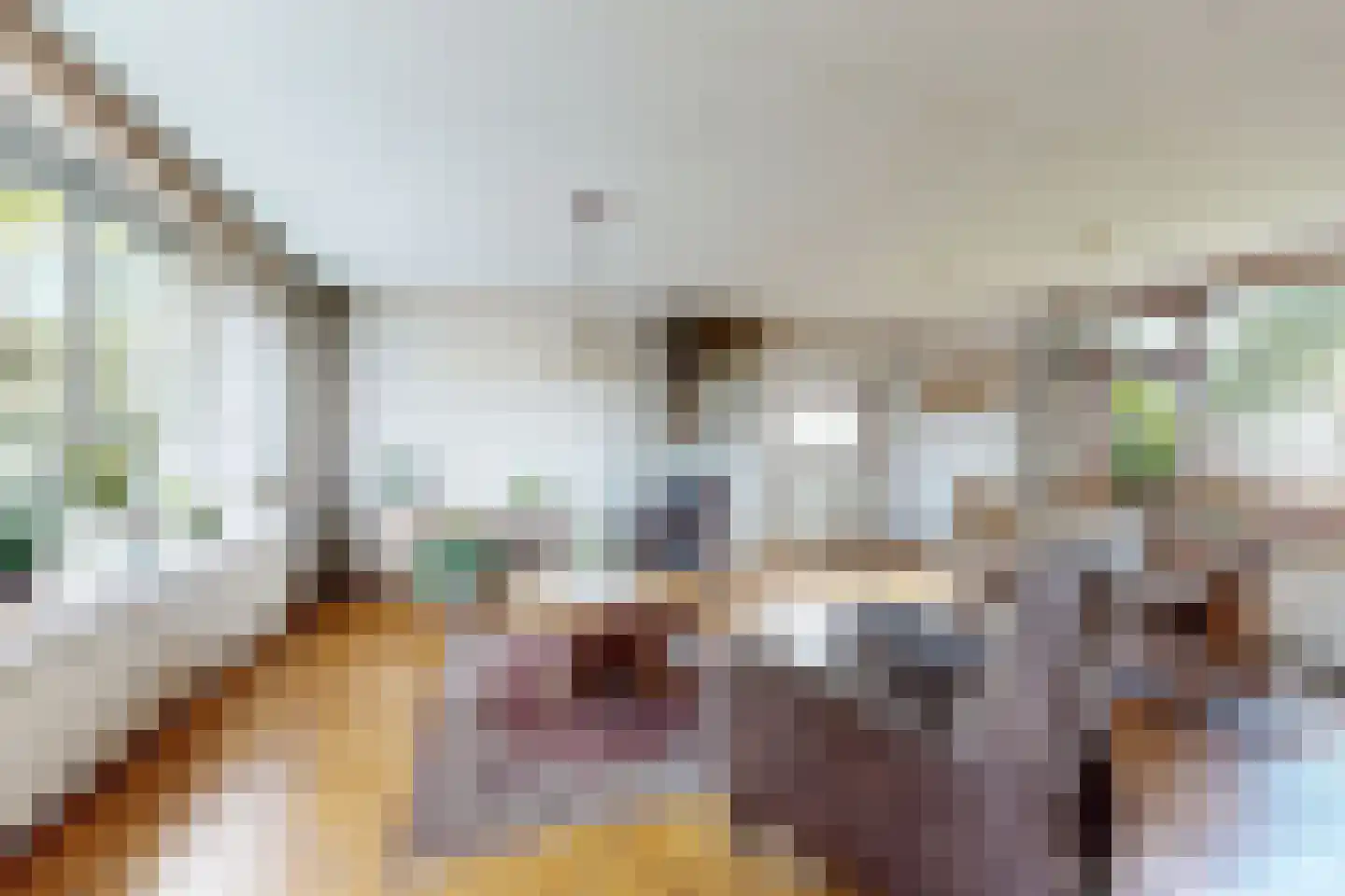 Oude Heijningsedijk 16 Heijningen thumbnail 28