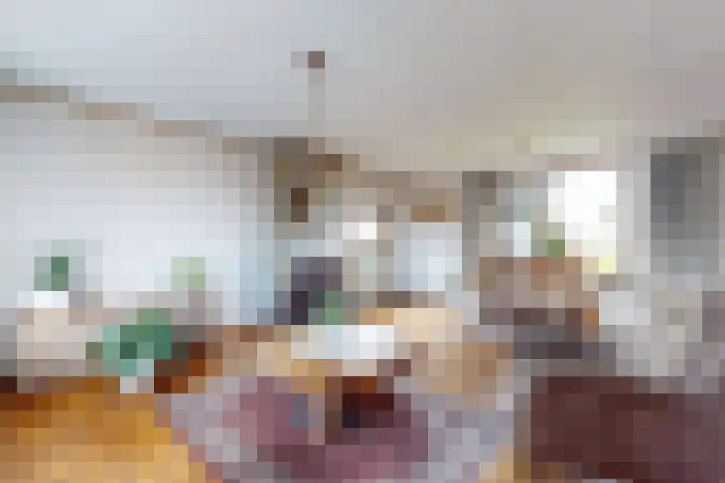 Oude Heijningsedijk 16 Heijningen thumbnail 29