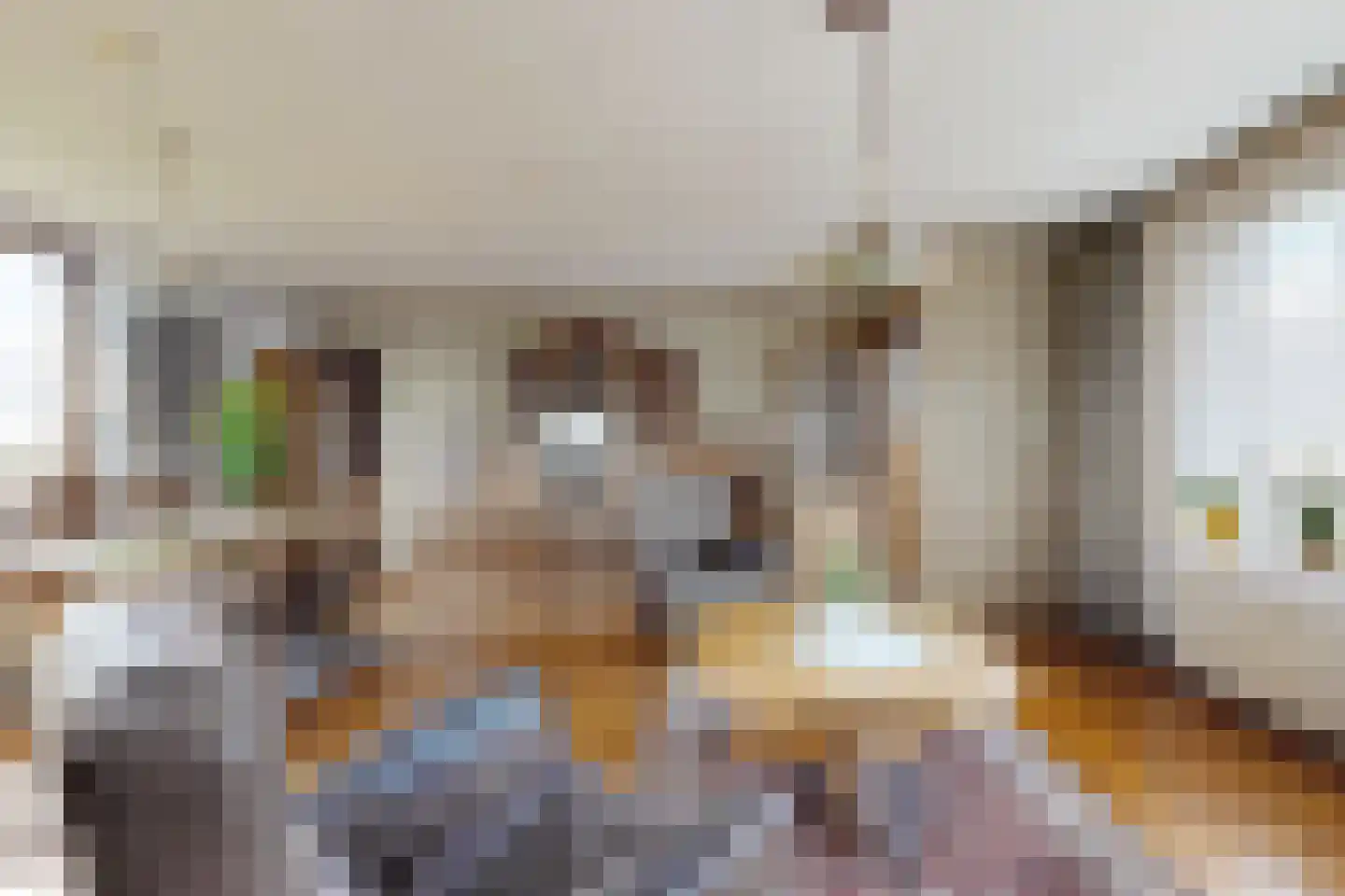 Oude Heijningsedijk 16 Heijningen thumbnail 31