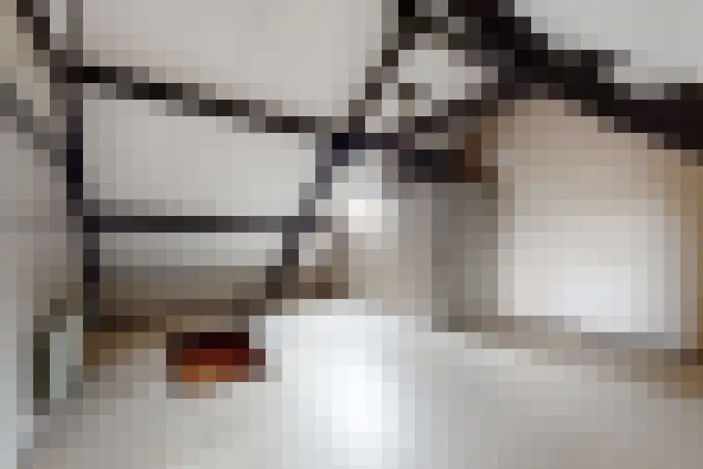 Oude Heijningsedijk 16 Heijningen thumbnail 36