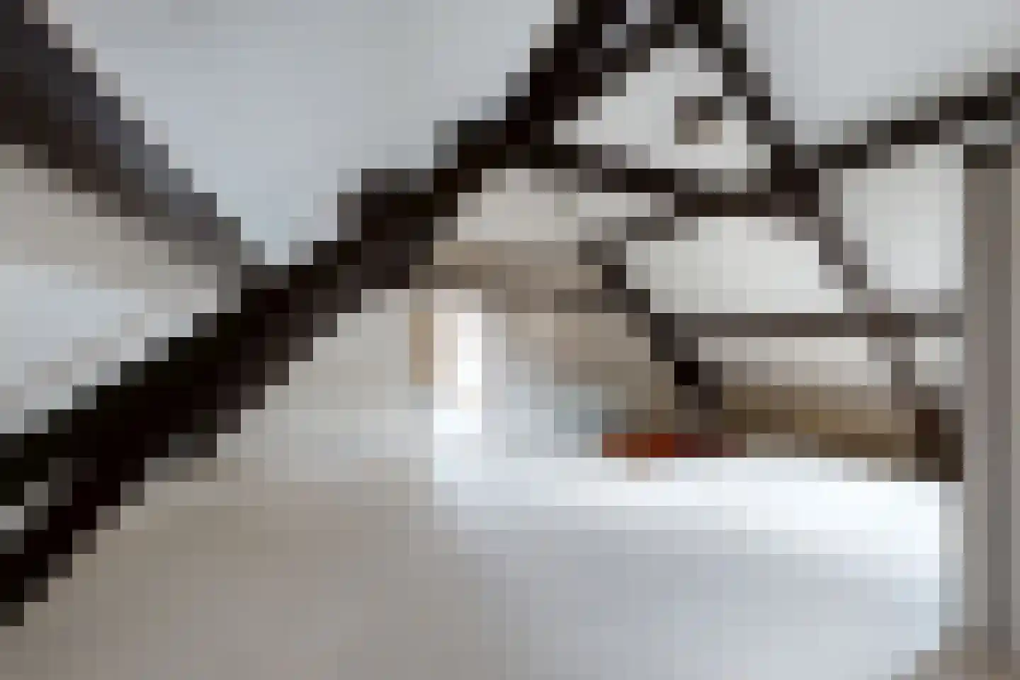 Oude Heijningsedijk 16 Heijningen thumbnail 37