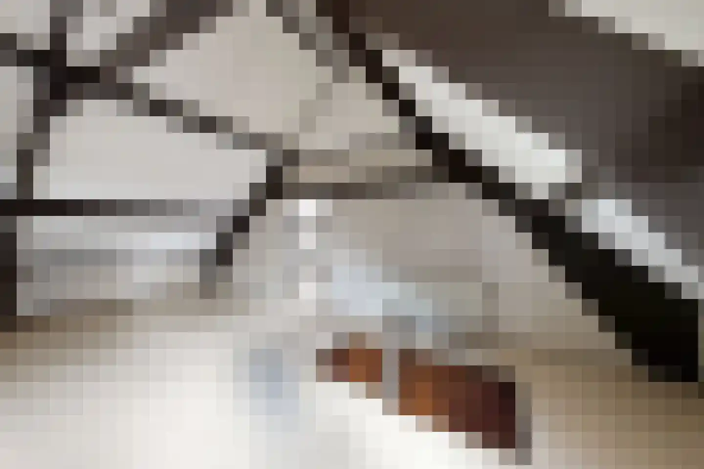 Oude Heijningsedijk 16 Heijningen thumbnail 38