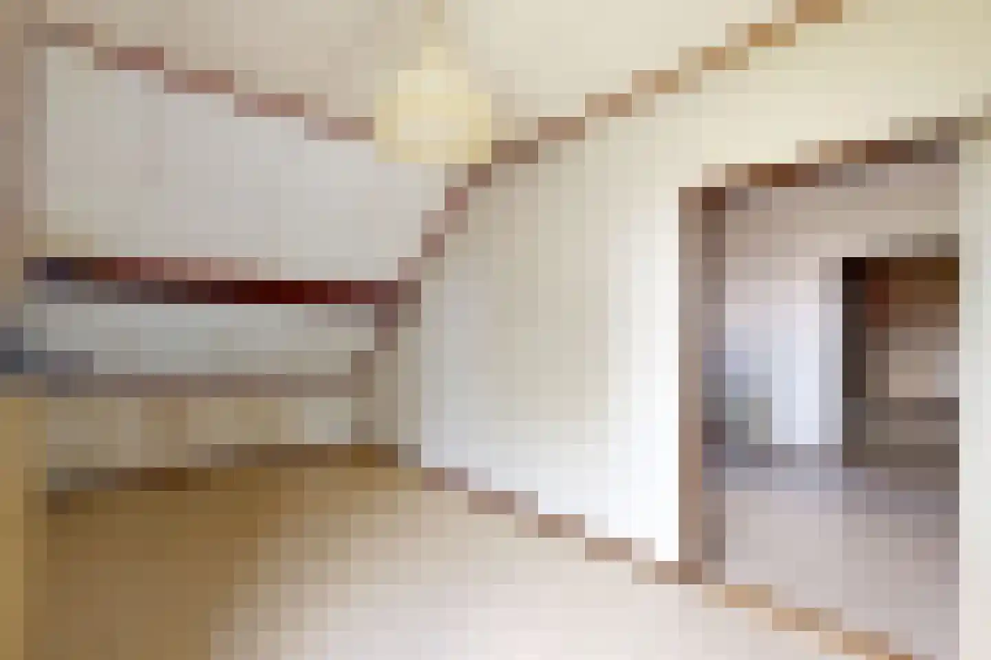 Oude Heijningsedijk 16 Heijningen thumbnail 44