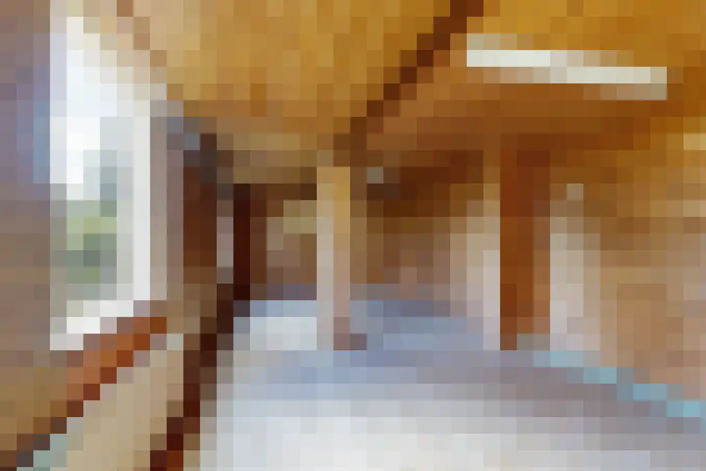 Oude Heijningsedijk 16 Heijningen thumbnail 47