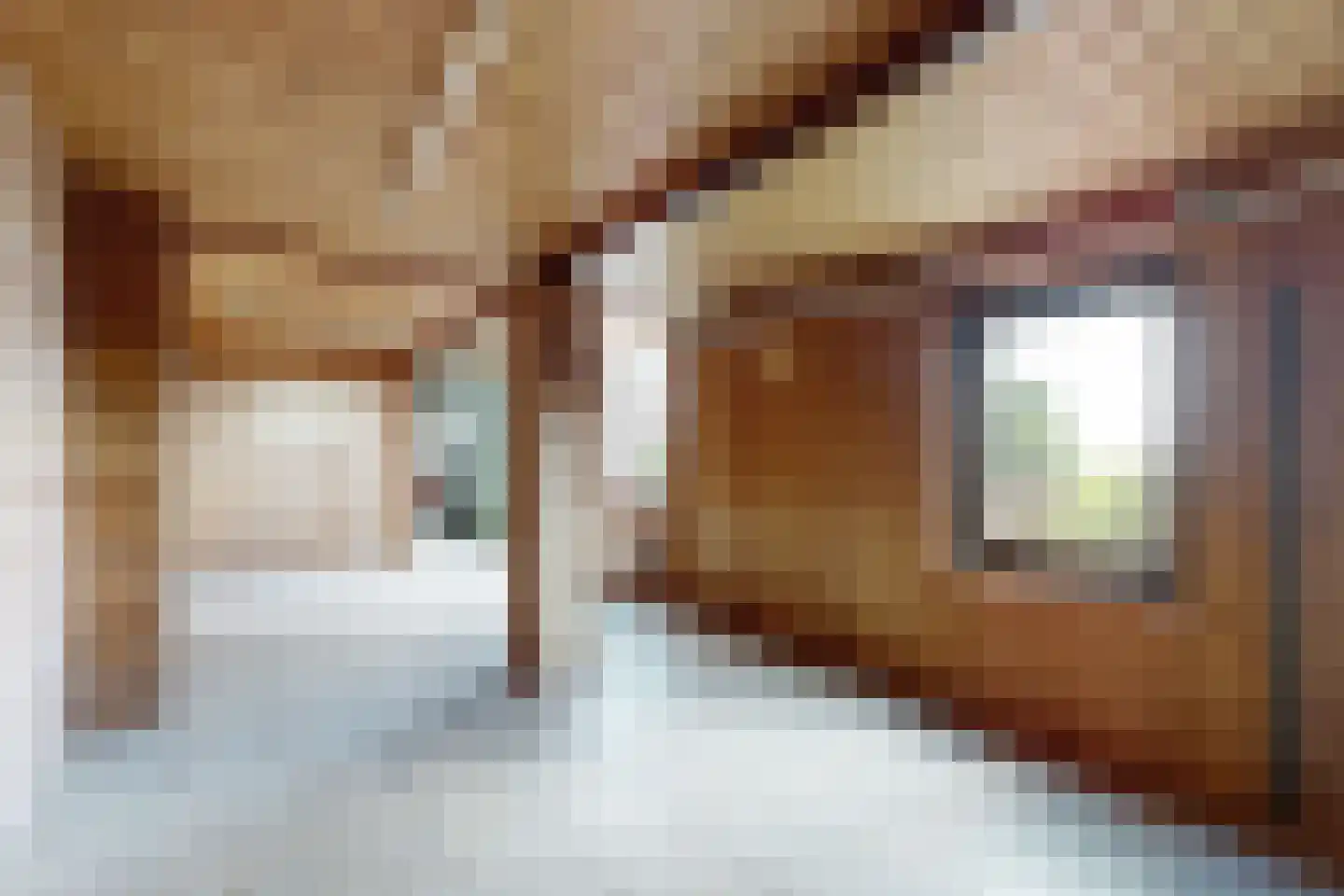 Oude Heijningsedijk 16 Heijningen thumbnail 49
