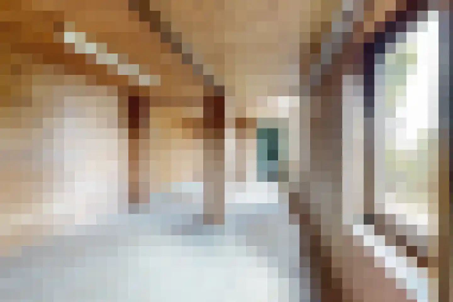 Oude Heijningsedijk 16 Heijningen thumbnail 50