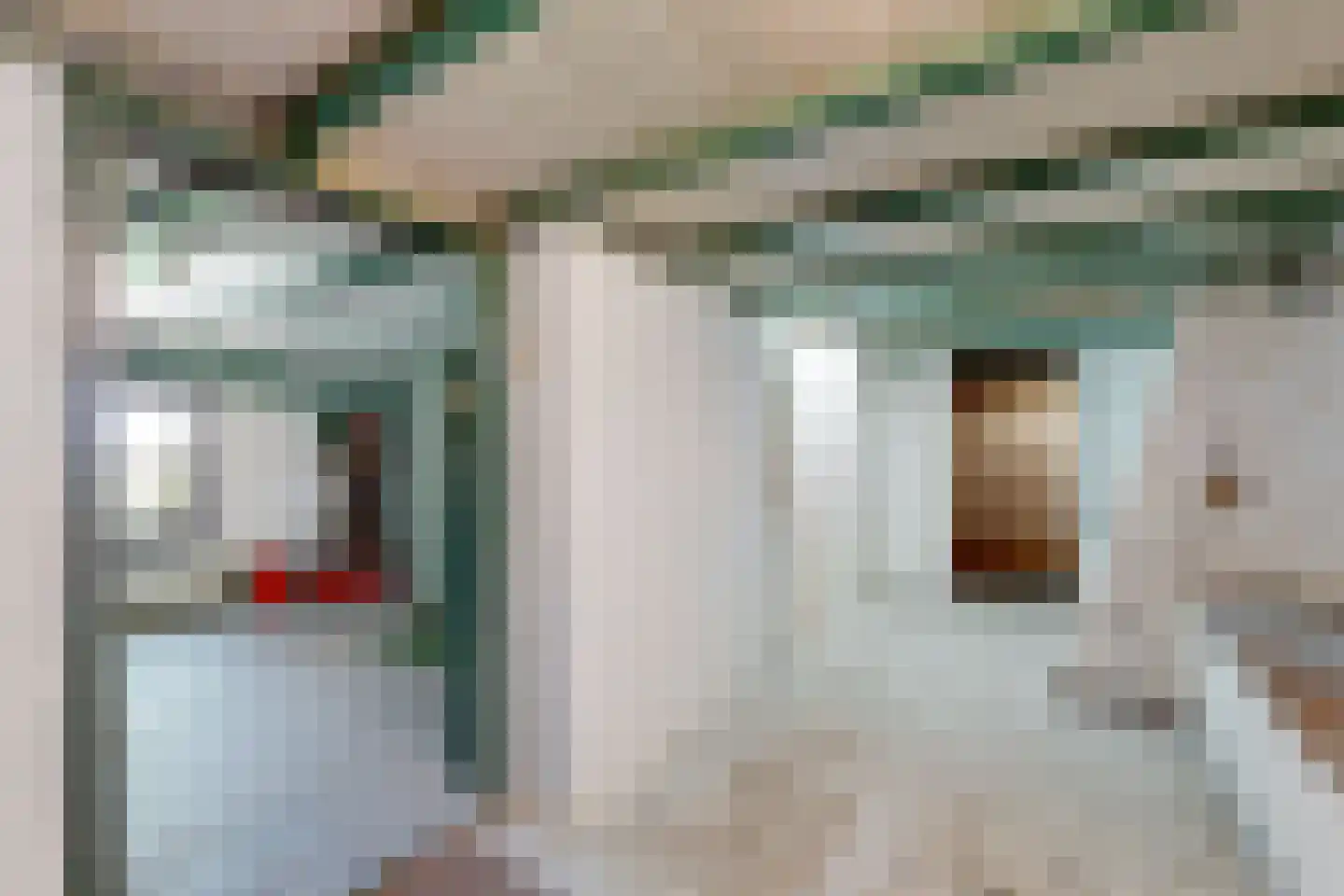Oude Heijningsedijk 16 Heijningen thumbnail 57