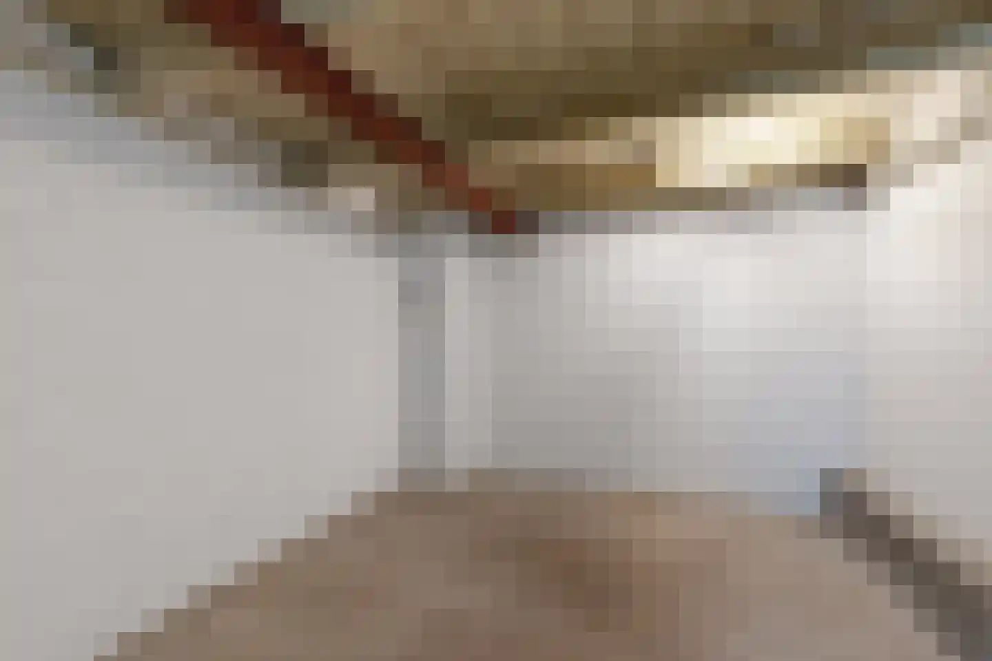 Oude Heijningsedijk 16 Heijningen thumbnail 60