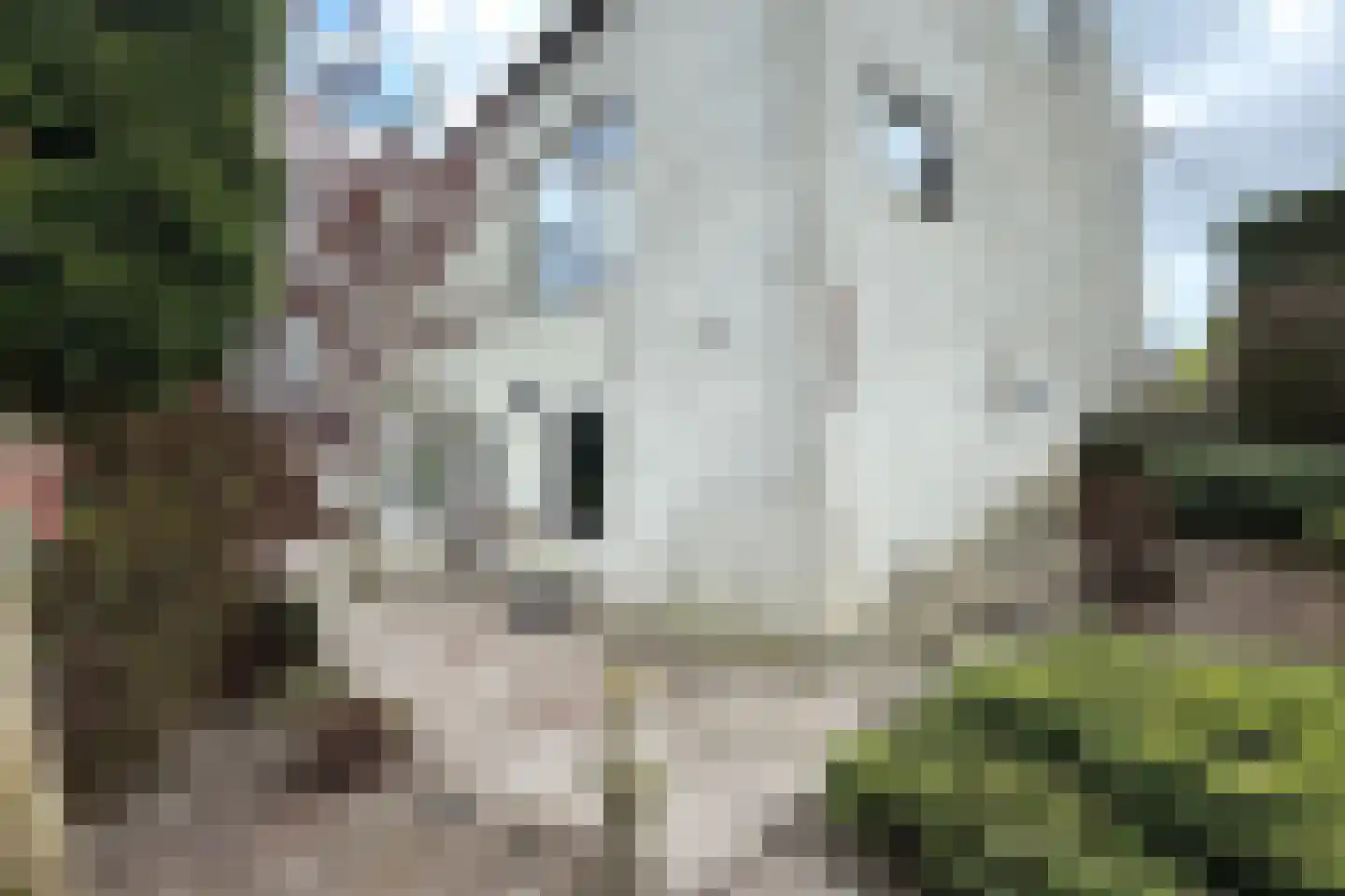 Oude Heijningsedijk 16 Heijningen thumbnail 62