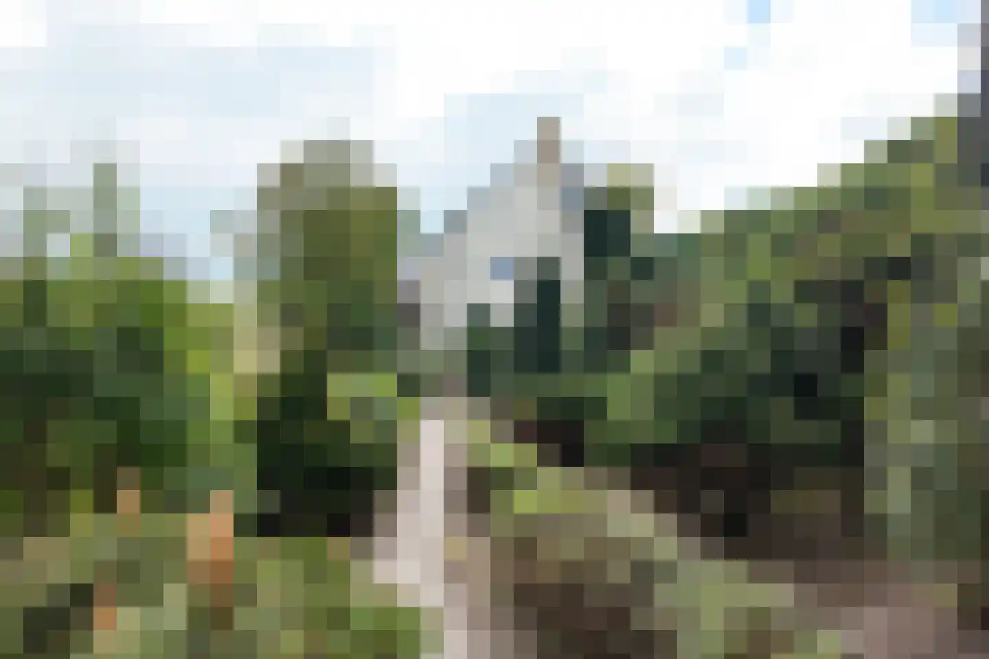 Oude Heijningsedijk 16 Heijningen thumbnail 64