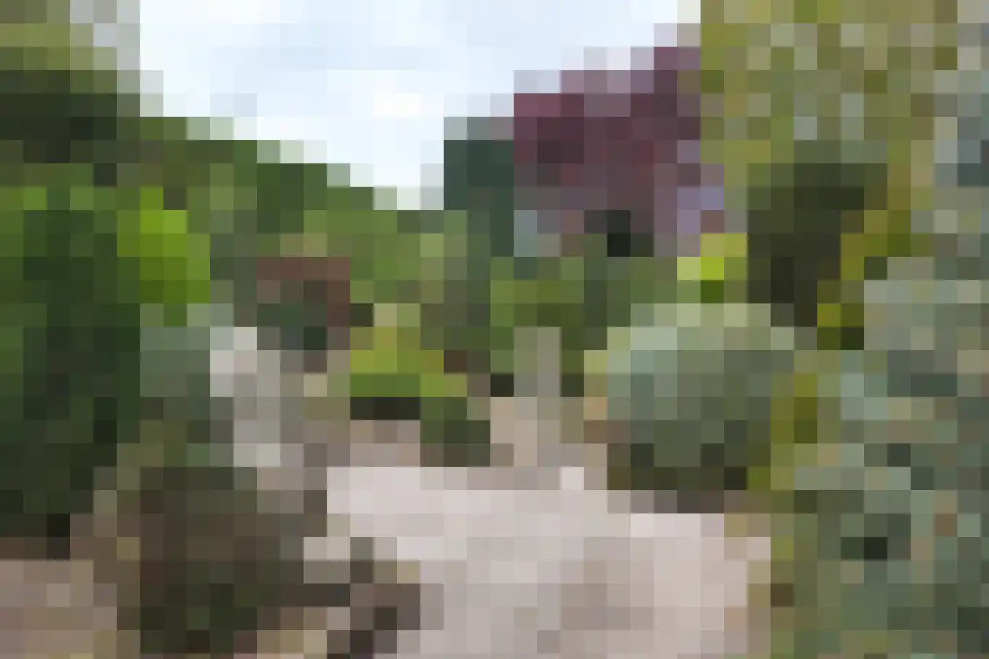 Oude Heijningsedijk 16 Heijningen thumbnail 65