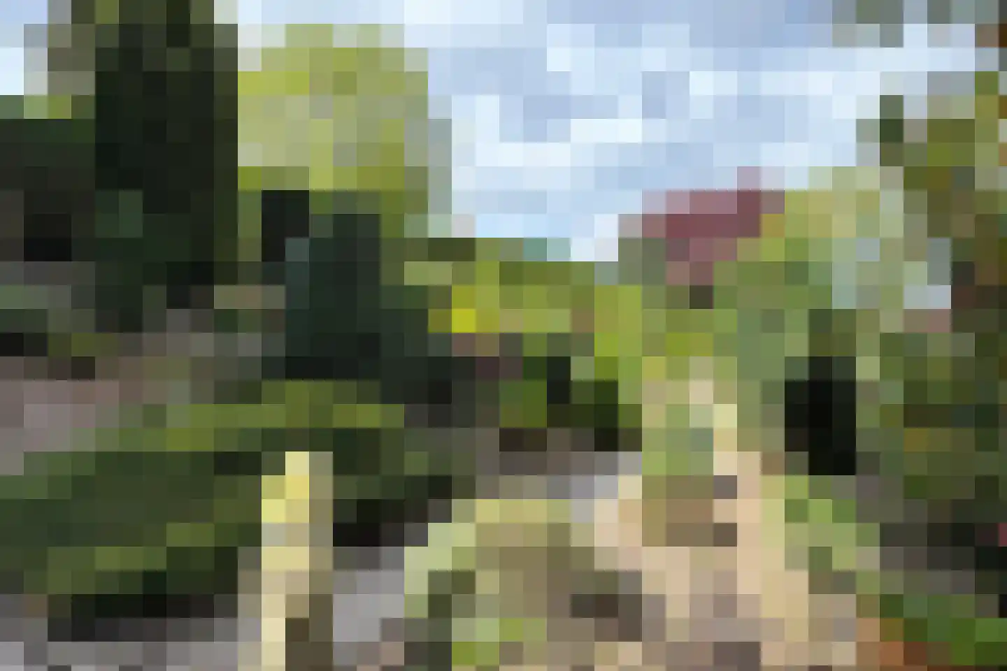 Oude Heijningsedijk 16 Heijningen thumbnail 66