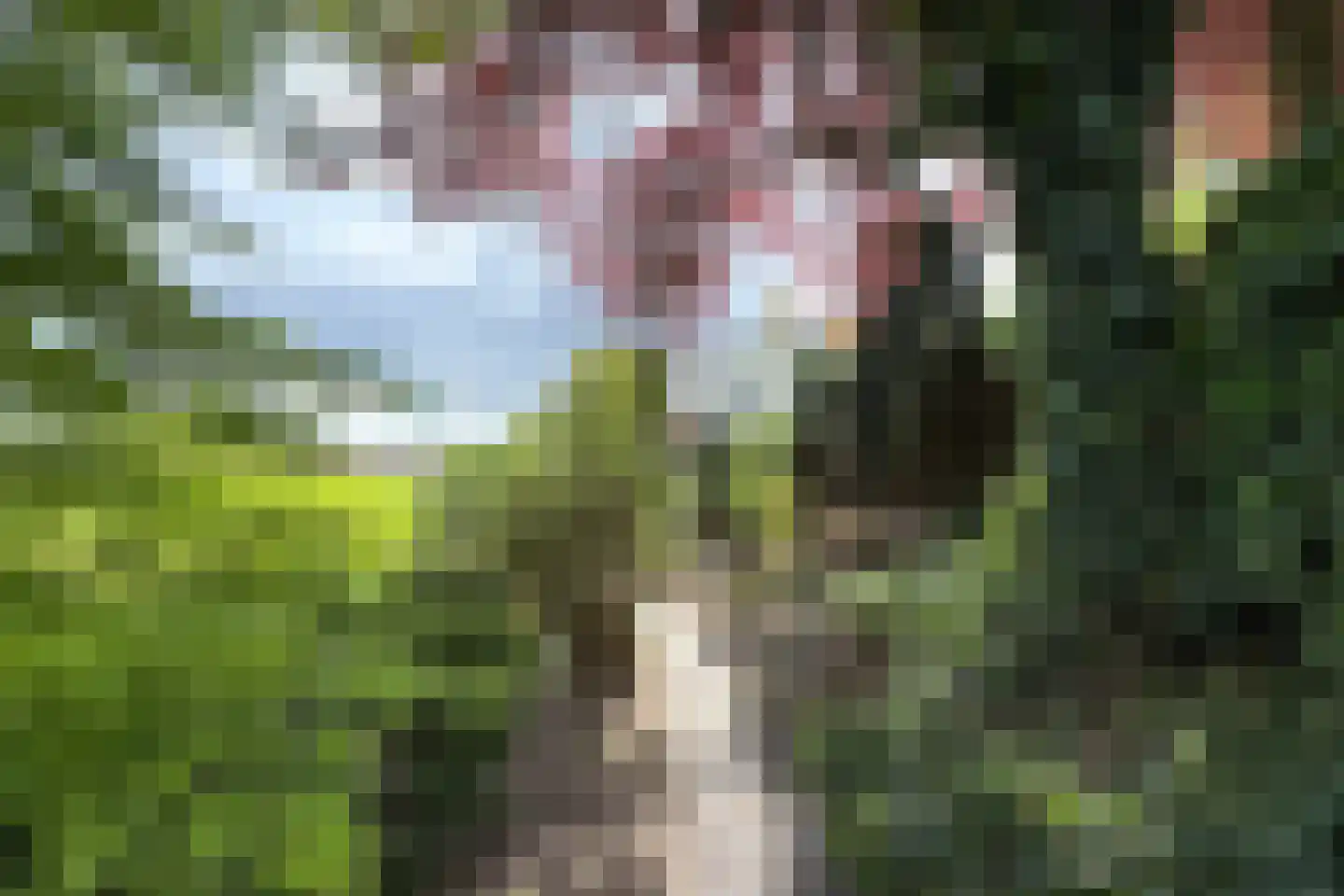 Oude Heijningsedijk 16 Heijningen thumbnail 67