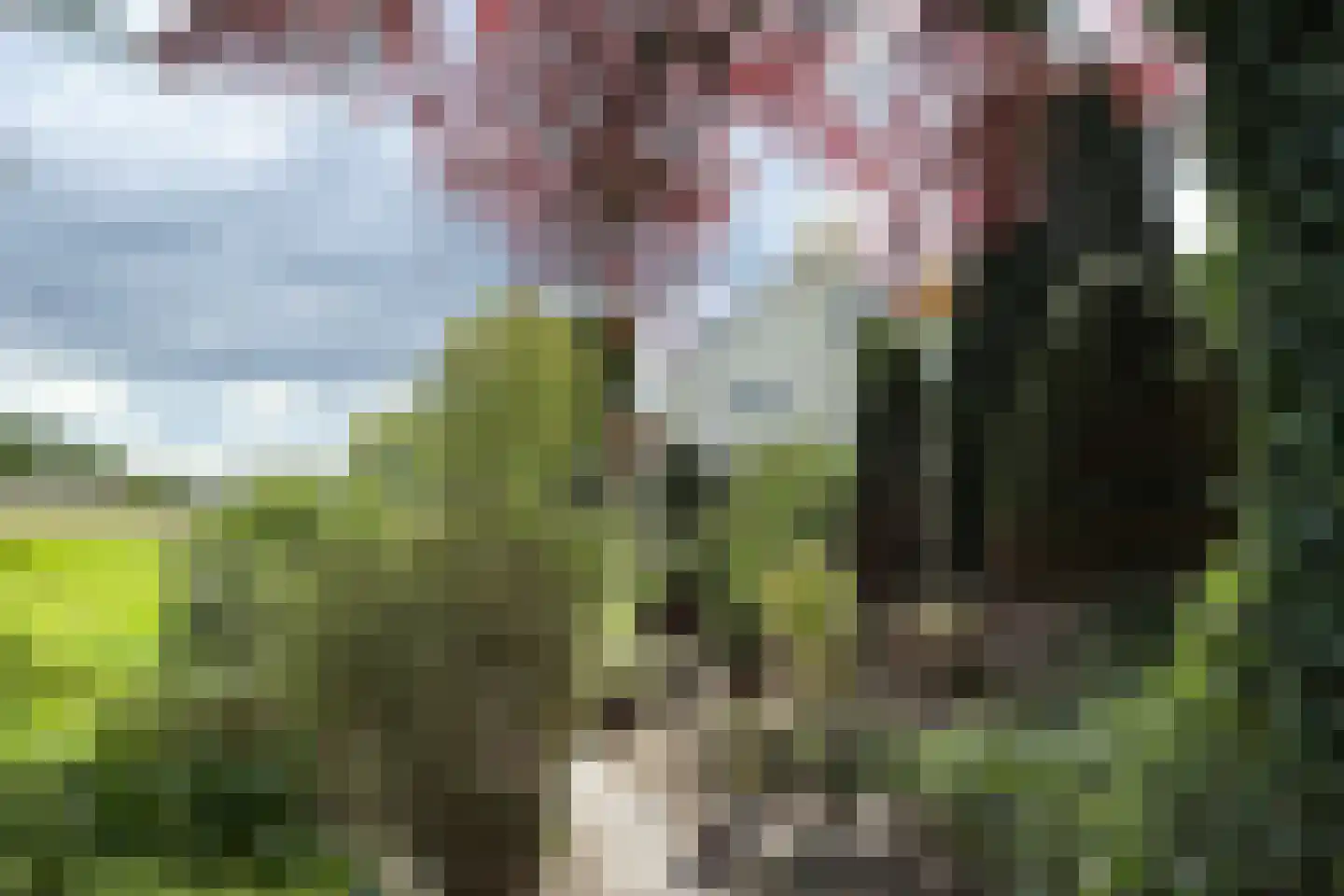 Oude Heijningsedijk 16 Heijningen thumbnail 68