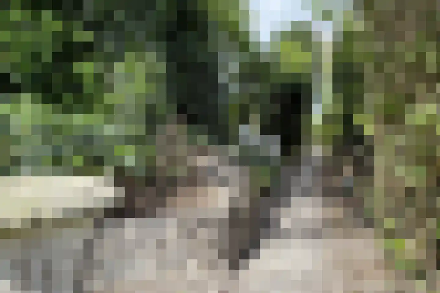 Oude Heijningsedijk 16 Heijningen thumbnail 69