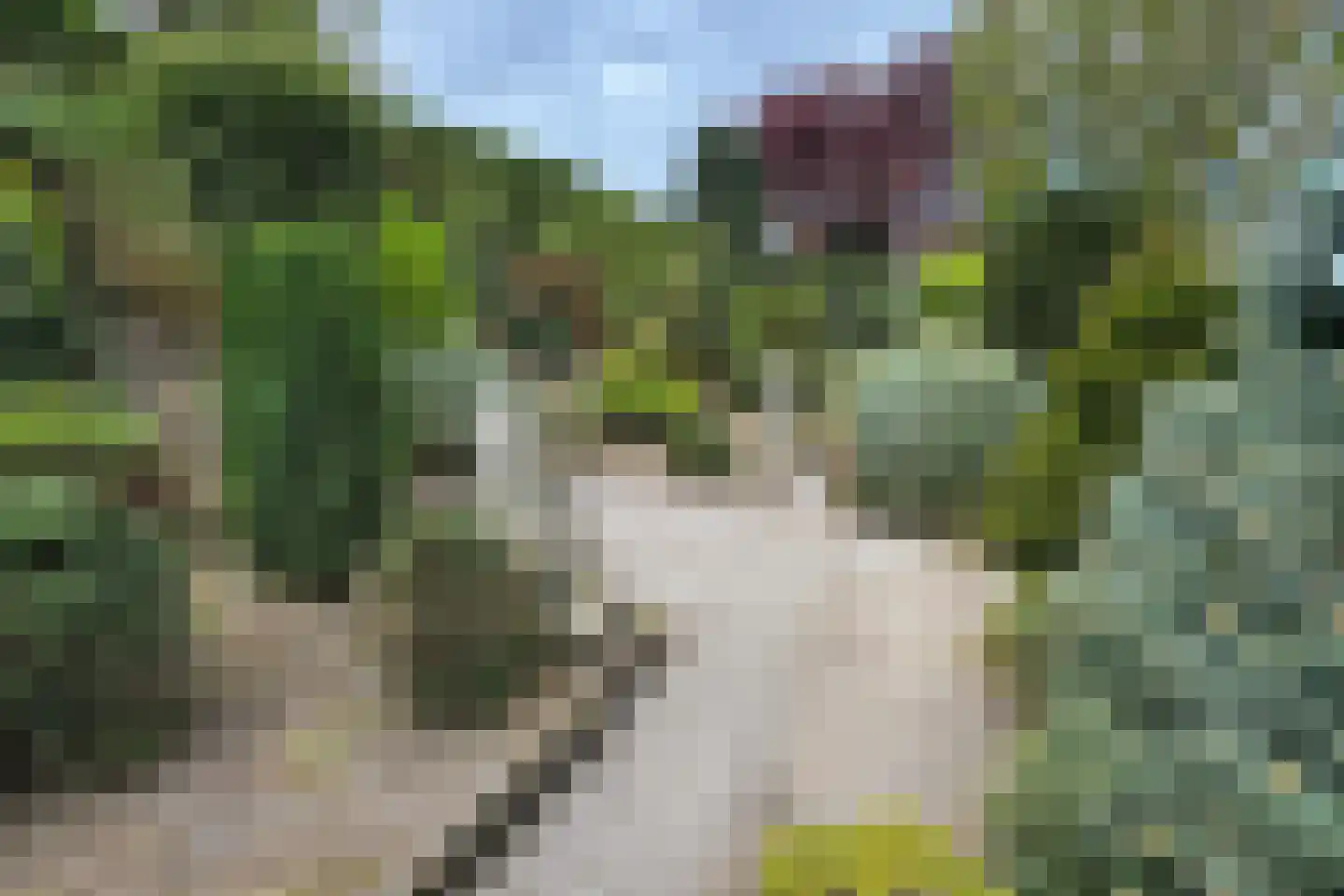 Oude Heijningsedijk 16 Heijningen thumbnail 70