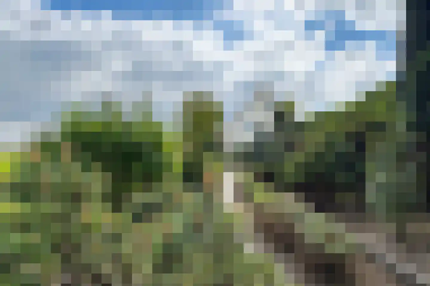 Oude Heijningsedijk 16 Heijningen thumbnail 71