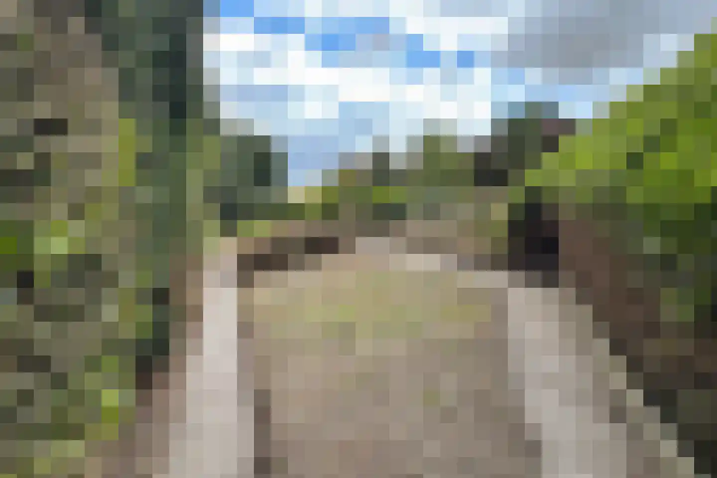 Oude Heijningsedijk 16 Heijningen thumbnail 72