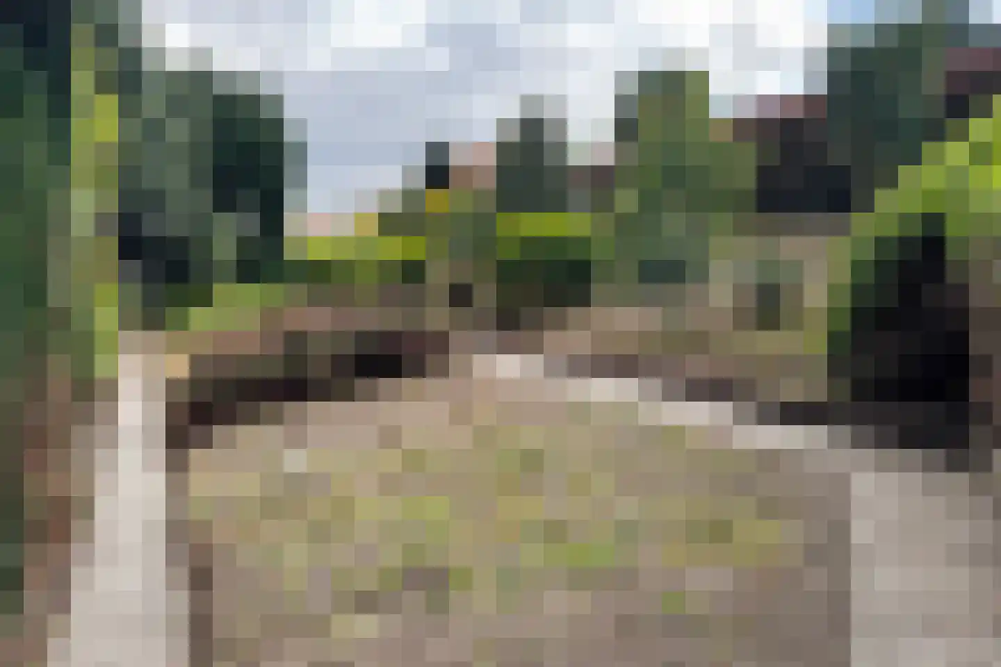 Oude Heijningsedijk 16 Heijningen thumbnail 73