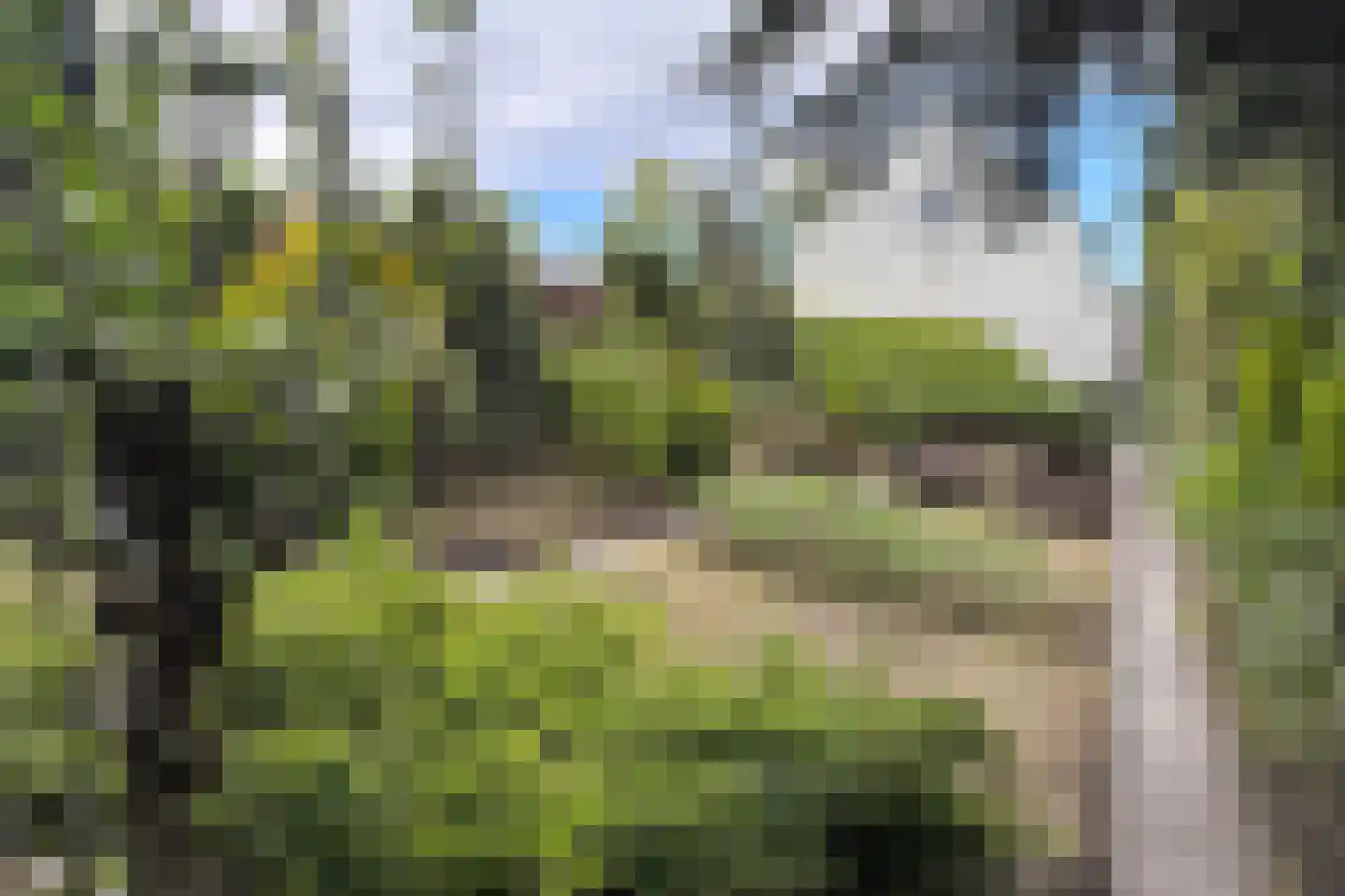 Oude Heijningsedijk 16 Heijningen thumbnail 74