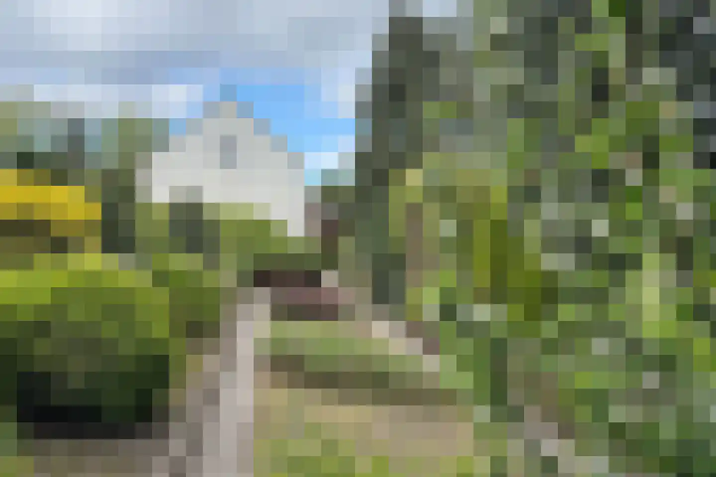 Oude Heijningsedijk 16 Heijningen thumbnail 75