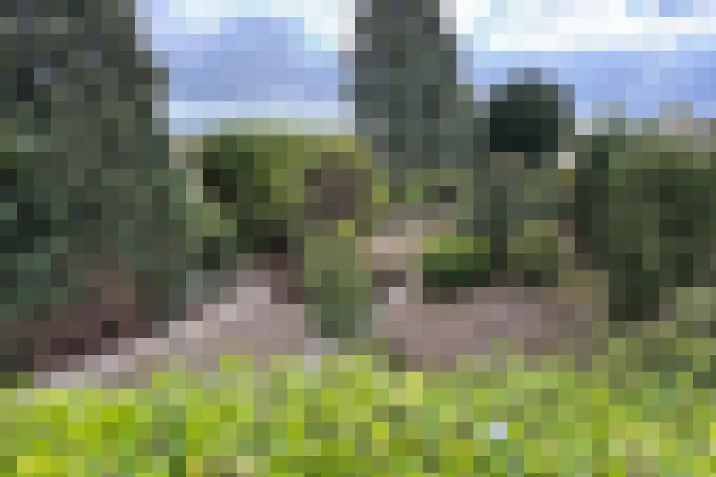 Oude Heijningsedijk 16 Heijningen thumbnail 76