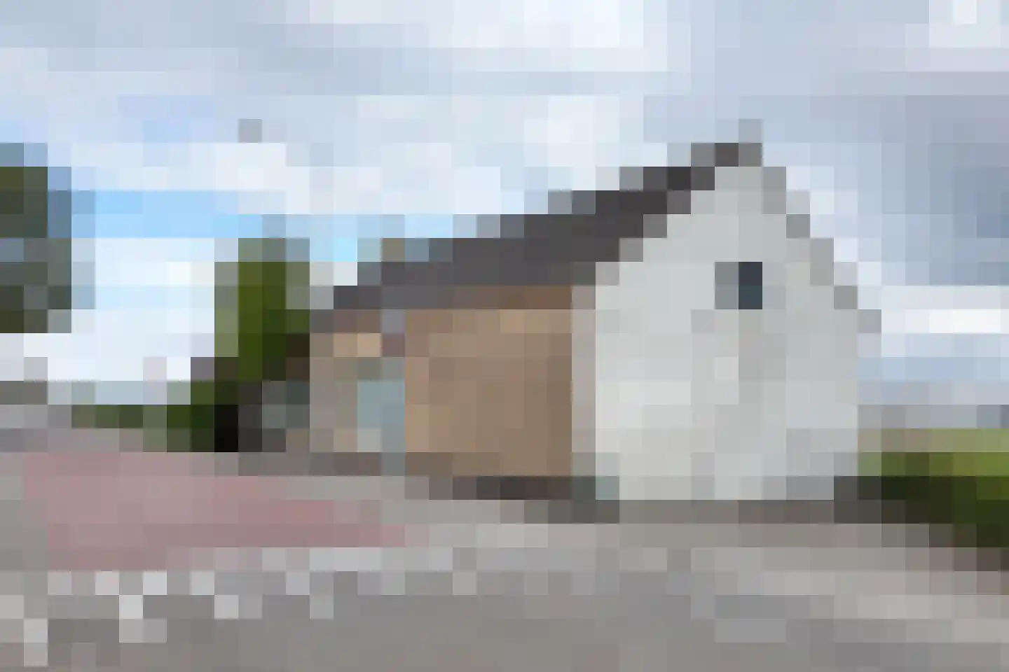 Oude Heijningsedijk 16 Heijningen thumbnail 78