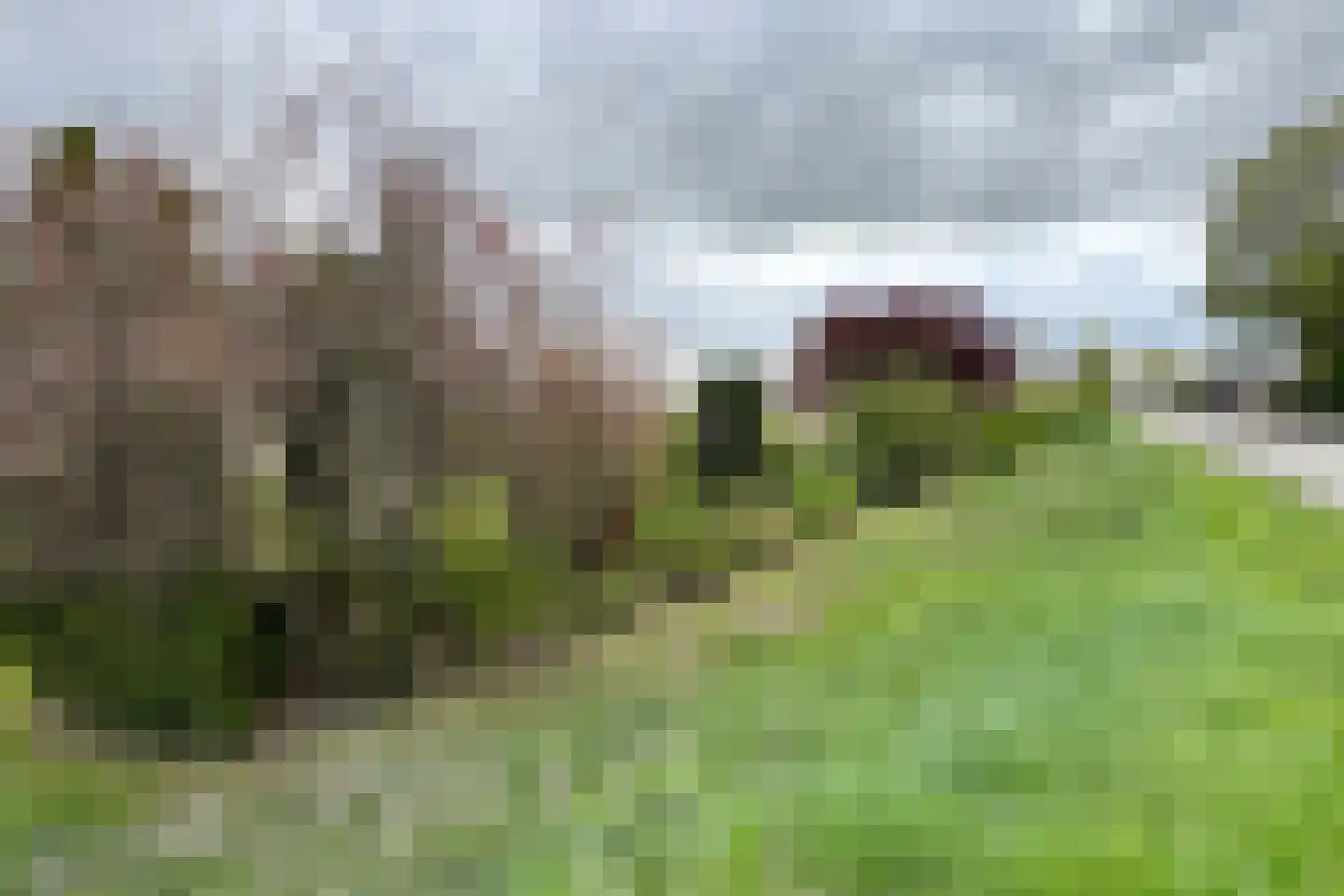 Oude Heijningsedijk 16 Heijningen thumbnail 81