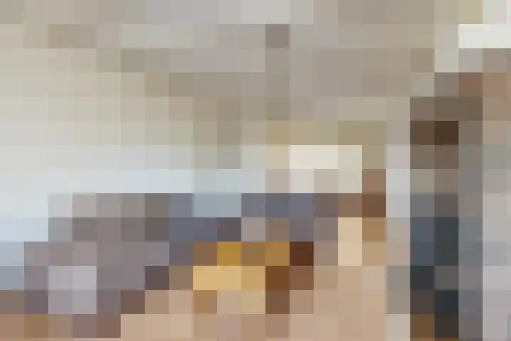 Oude Heijningsedijk 203 Heijningen thumbnail 13