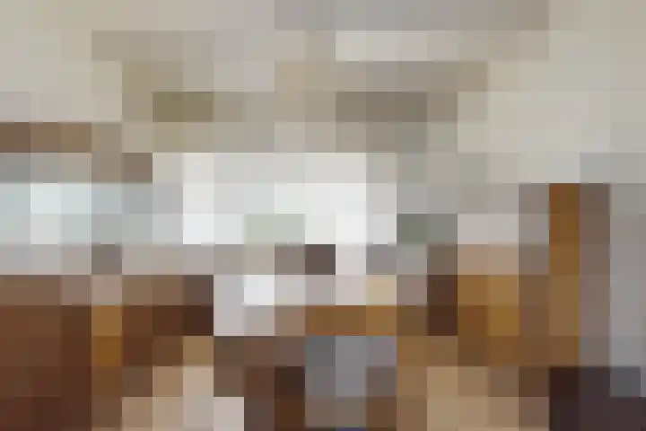 Oude Heijningsedijk 203 Heijningen thumbnail 17