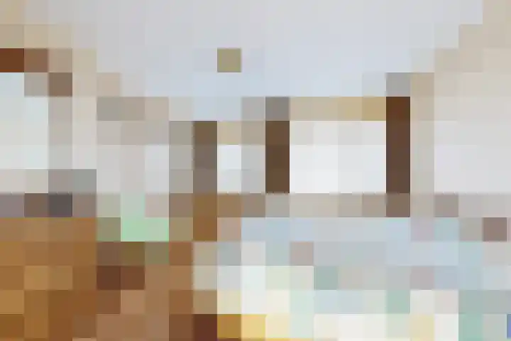 Oude Heijningsedijk 203 Heijningen thumbnail 5