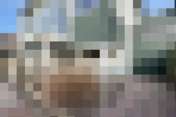 Oude Heijningsedijk 203 Heijningen thumbnail 64