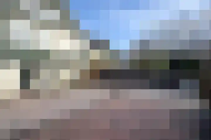 Oude Heijningsedijk 203 Heijningen thumbnail 68