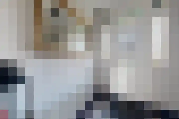 Oude Heijningsedijk 203 Heijningen thumbnail 7