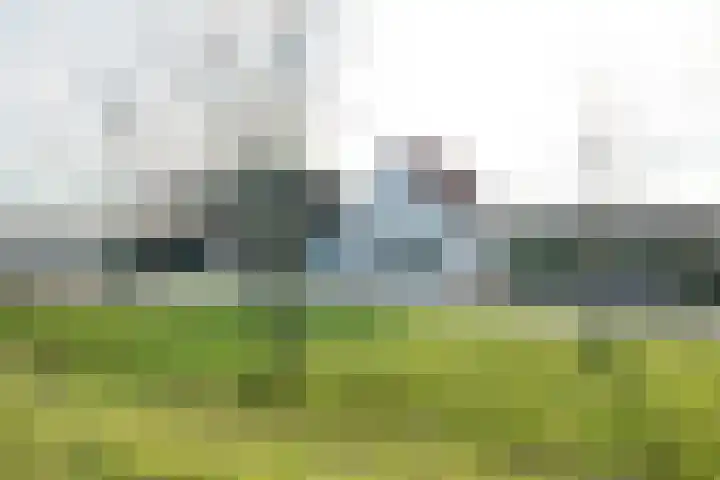 Oude Heijningsedijk 203 Heijningen thumbnail 75