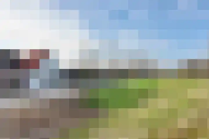 Oude Heijningsedijk 203 Heijningen thumbnail 76