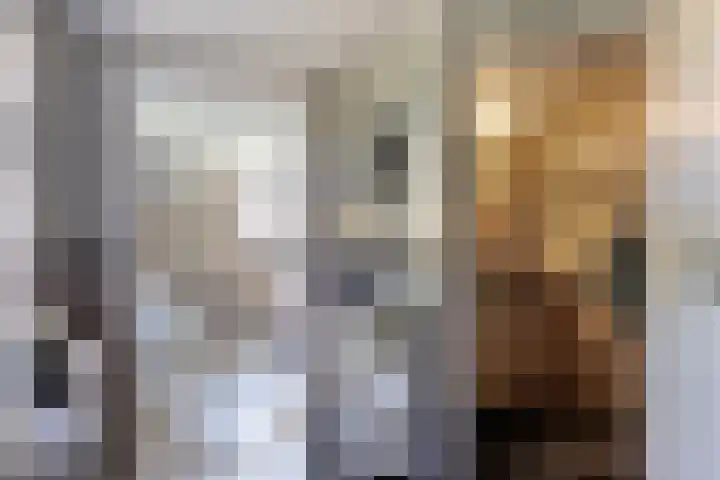 Oude Heijningsedijk 77 Heijningen thumbnail 12