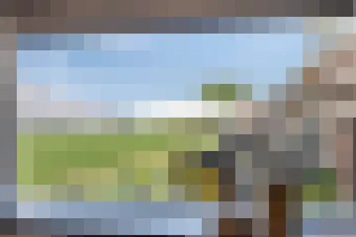 Oude Heijningsedijk 77 Heijningen thumbnail 15