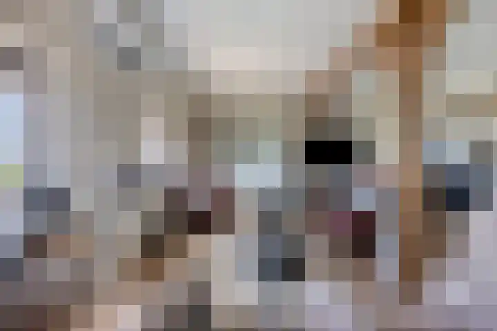 Oude Heijningsedijk 77 Heijningen thumbnail 16