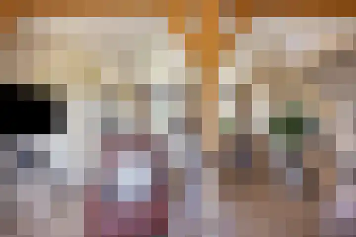 Oude Heijningsedijk 77 Heijningen thumbnail 19