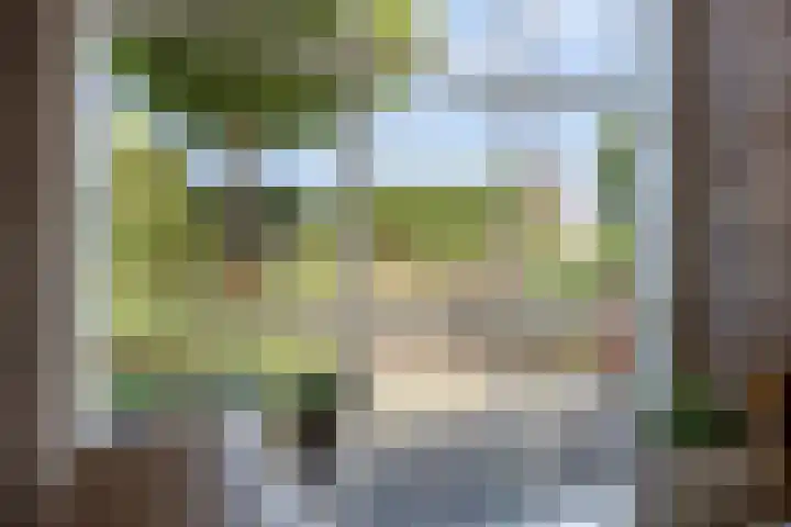 Oude Heijningsedijk 77 Heijningen thumbnail 22